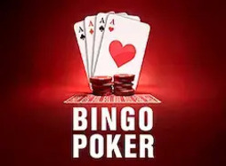 Bingo Poker